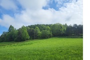 Biuro nieruchomości Beata Walków