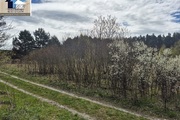 Biuro nieruchomości Beata Walków