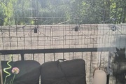 Biuro nieruchomości Beata Walków