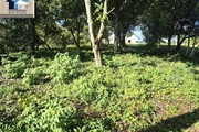 Biuro nieruchomości Beata Walków