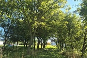 Biuro nieruchomości Beata Walków