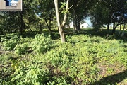 Biuro nieruchomości Beata Walków